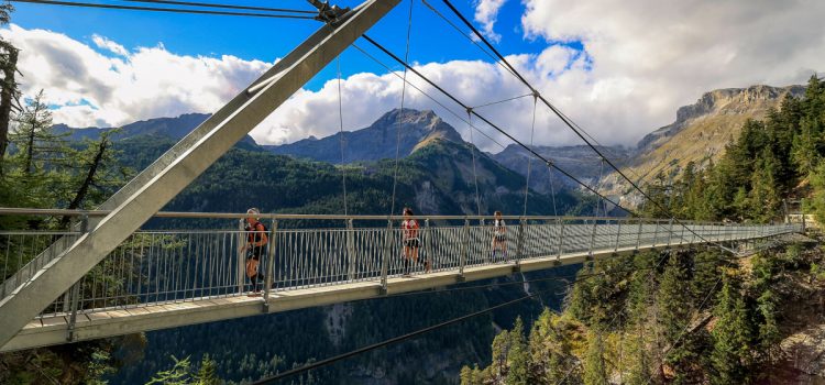 Wild Glacier Marathon Lenk Launches For The Fifth Edition Of Wildstrubel By UTMB